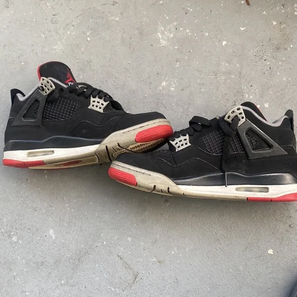 2019 bred 4 Just need cleaned - Picture 3 of 5